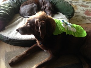 December-January 2014 186