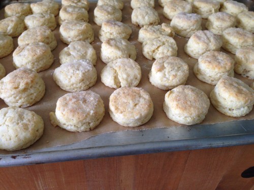 Grand Canyon 2014 003